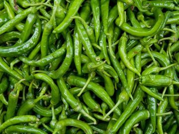 morich-1-20230701154853-20230706