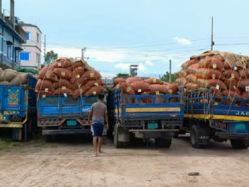 কাঁচামরিচ আমদানি
