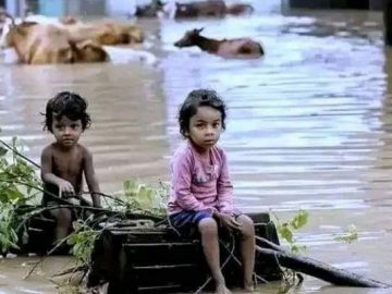 মানবিক বিপর্যয়