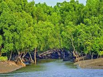 ভারতে পালাতে