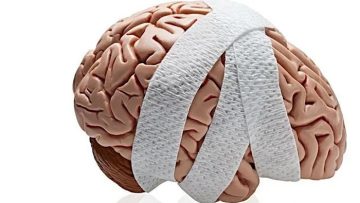 আপনার মস্তিষ্ক