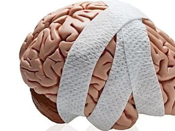 আপনার মস্তিষ্ক