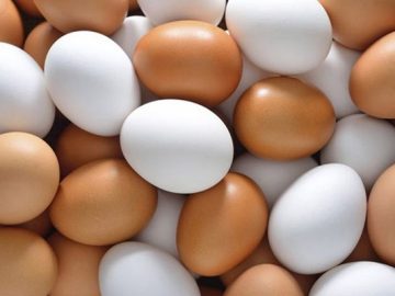 ডিমের মূল্য