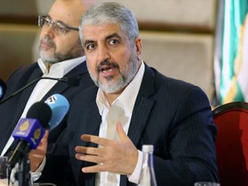 ফিনিক্স পাখি