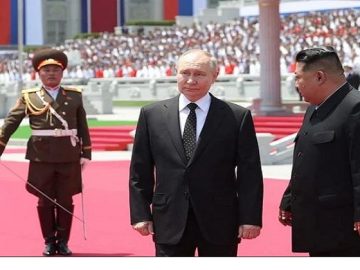 ভাড়াটে সেনা