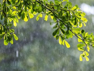 সাগরে লঘুচাপ