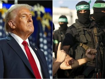 জানাল হামাস