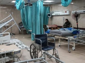 ফিলিস্তিনি