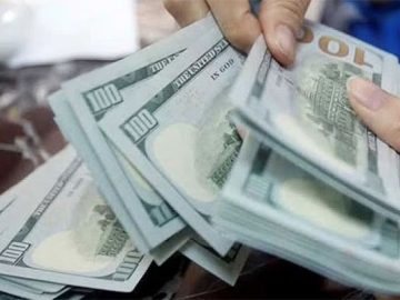 মার্কিন ডলার